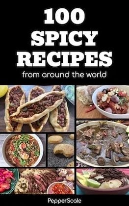 100 Spicy Recipes from Around the World ebook cover