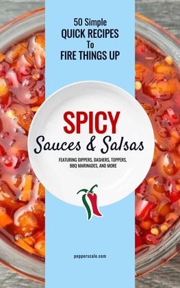 50 Spicy Sauces & Salsas ebook cover