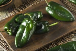 Poblano peppers