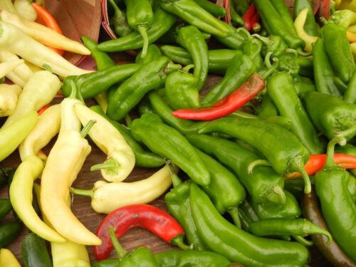 Anaheim Pepper