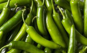 Serrano Pepper