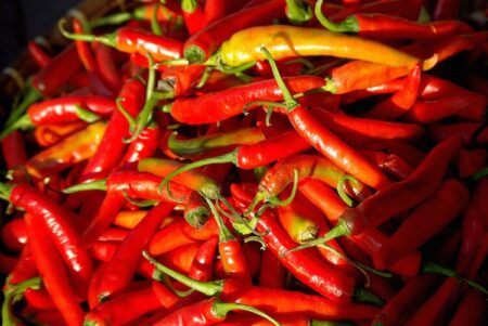 Thai Peppers Guide: Heat, Flavor, Uses – PepperScale