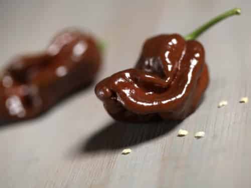 Chocolate Habanero