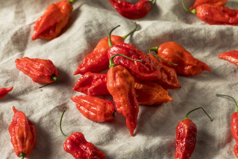 Ghost Pepper Facts