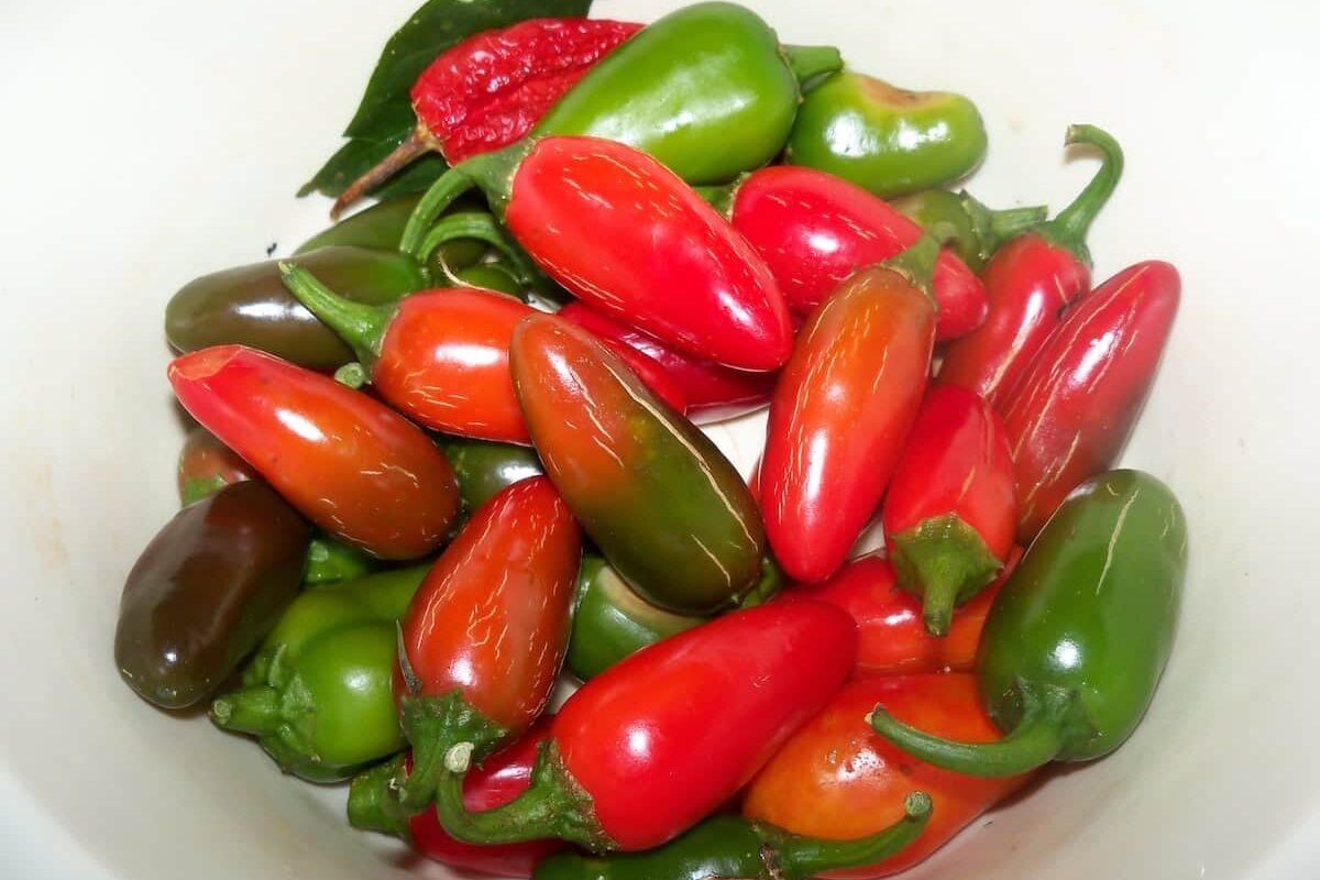 Red Jalapeño Vs. Green — How Do They Compare?