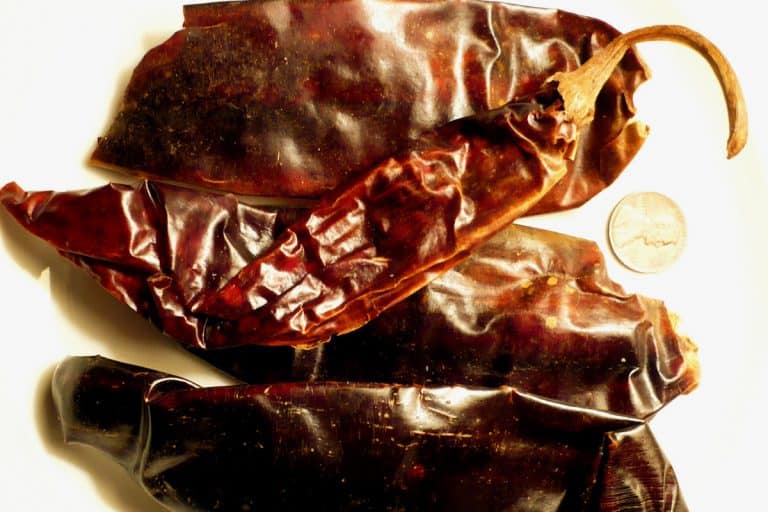 Guajillo Pepper