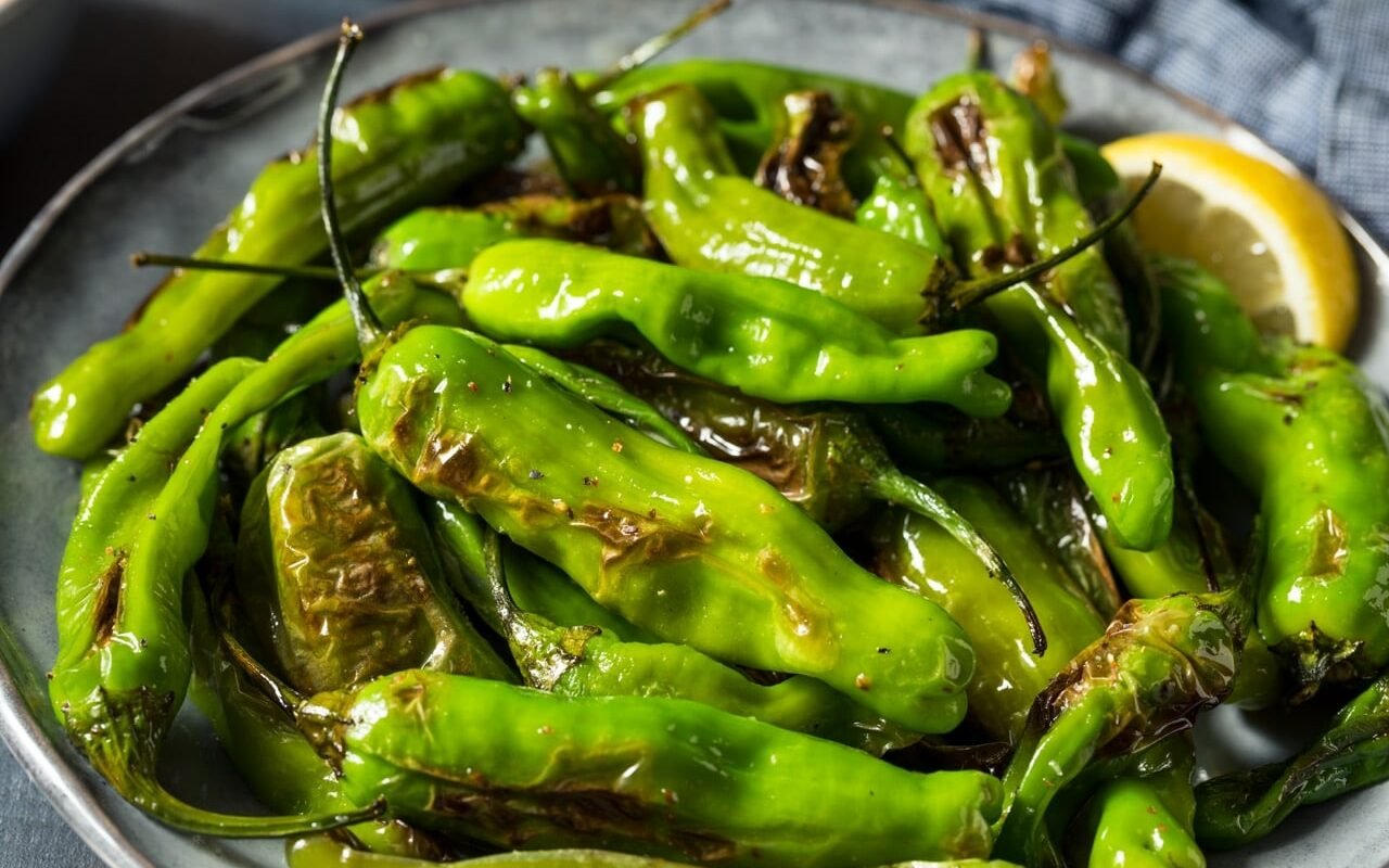 Blistered Shishito Peppers