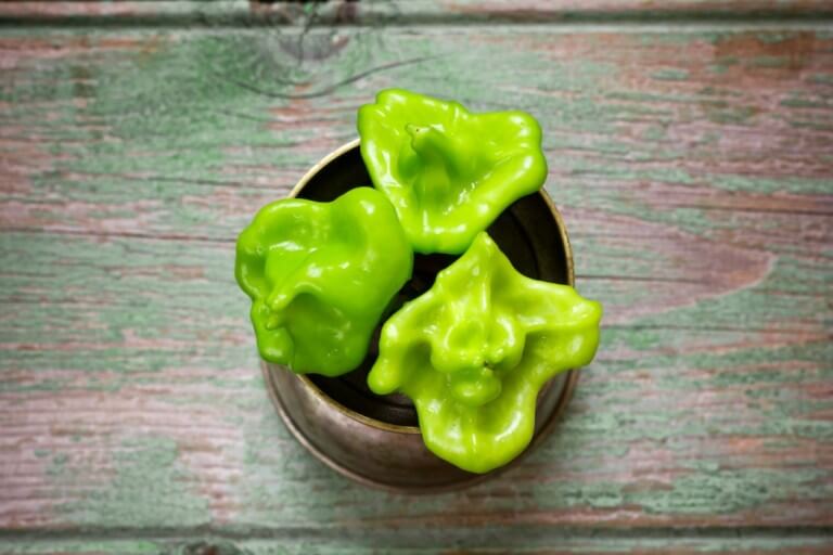 Bishops Crown Pepper