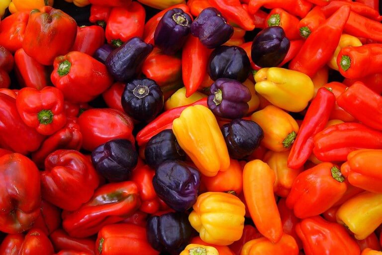 Capsicum Annuum