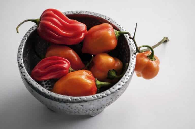 Capsicum Chinense