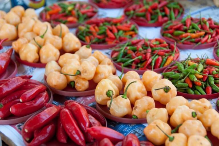 Genus Capsicum
