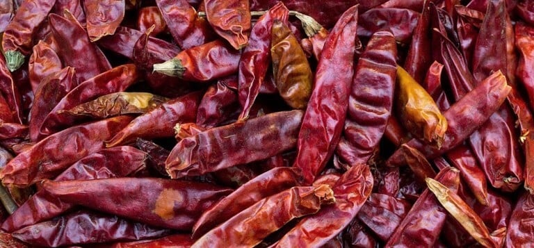 Japones Pepper