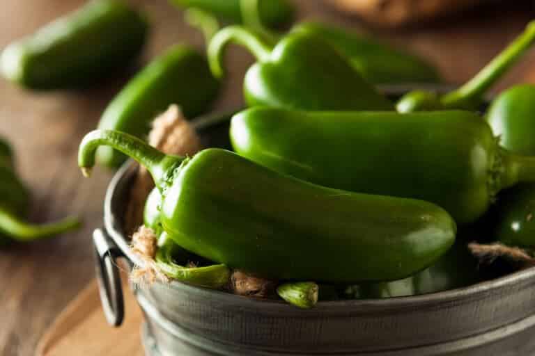 Mexican Peppers