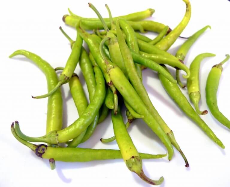 Guindilla Pepper