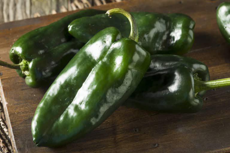 Poblano Pepper Nutrition