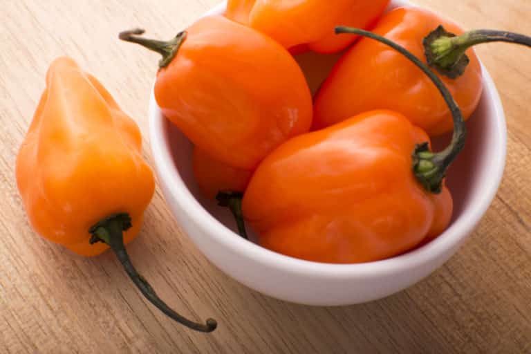 habanero nutrition