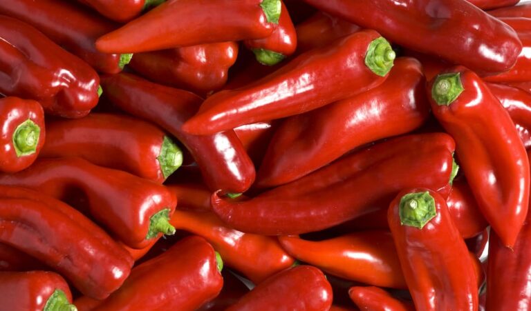 how to keep peppers fresh