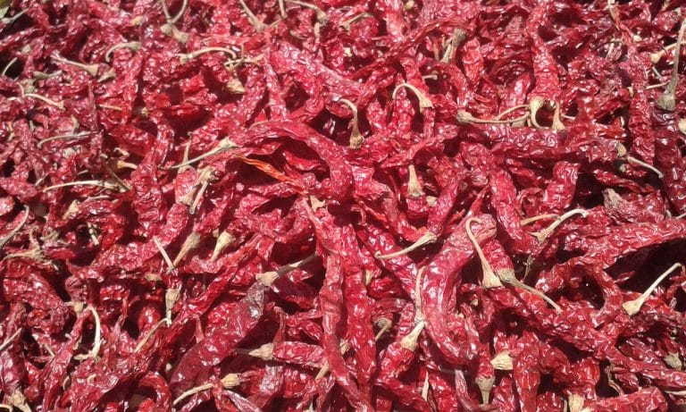 byadgi chili