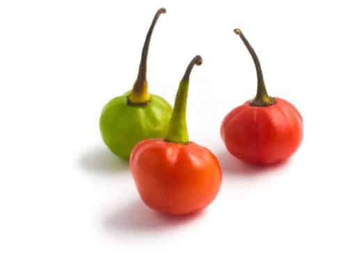 Bod'e Pepper