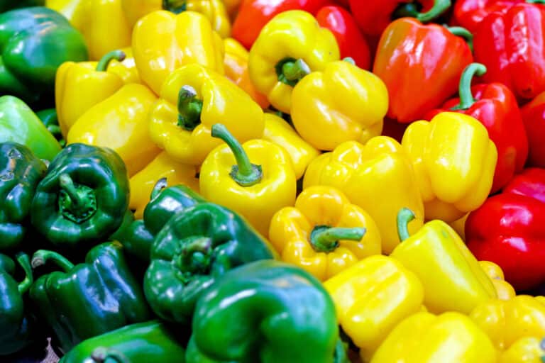 Bell pepper facts