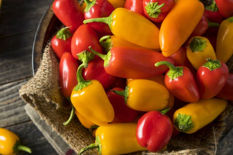 What are sweet peppers