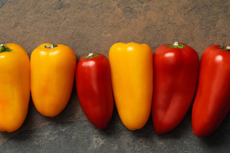 carbs in peppers