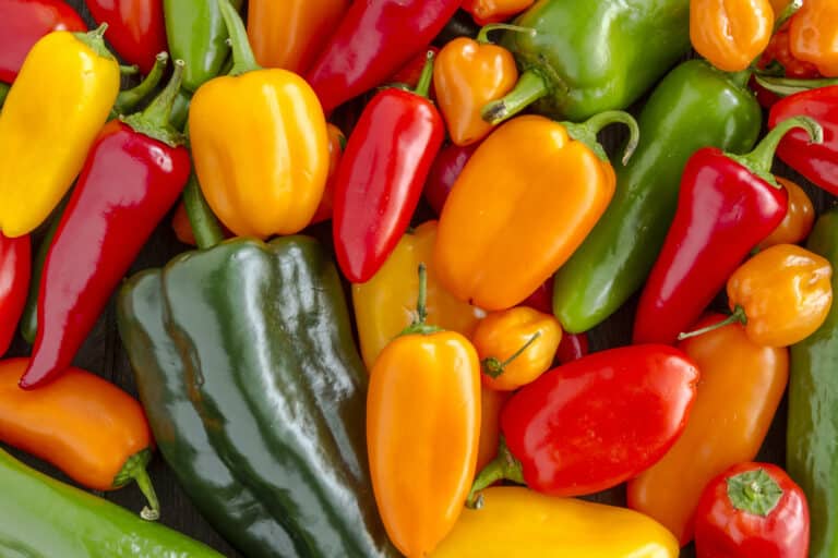 Protein in peppers