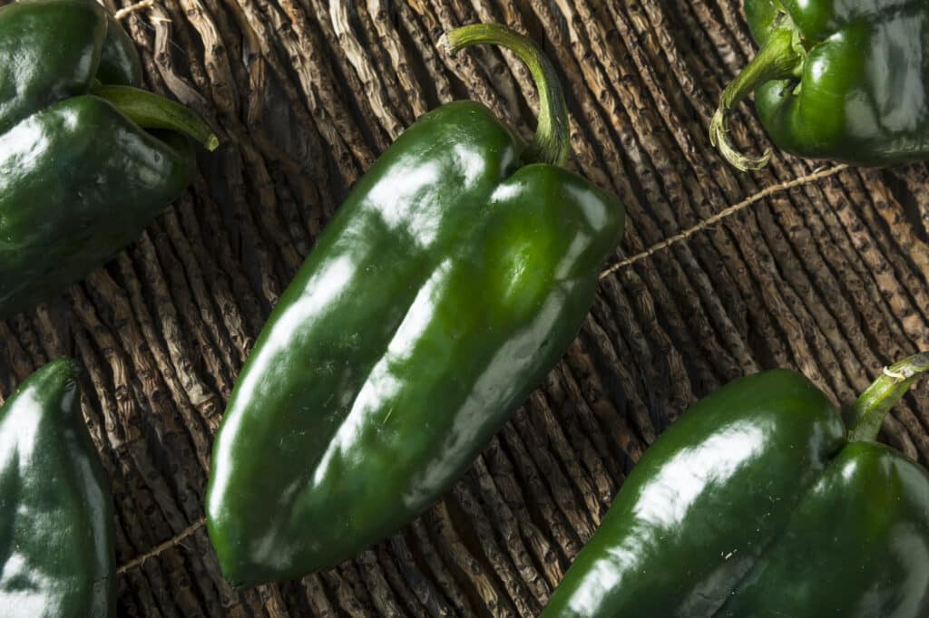 Extra Poblanos? Here's What To Do With Poblano Peppers