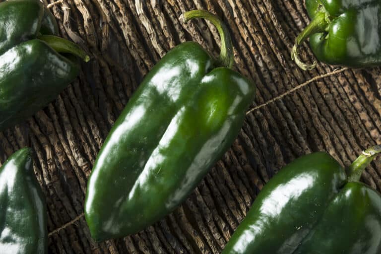 what to do with poblano peppers