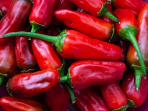 Peri-Peri Pepper