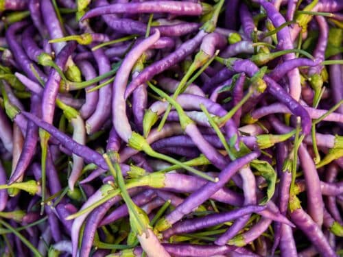 Buena Mulata Pepper