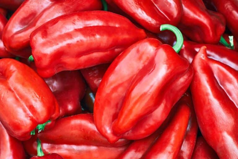 Elephant's Ear Peppers