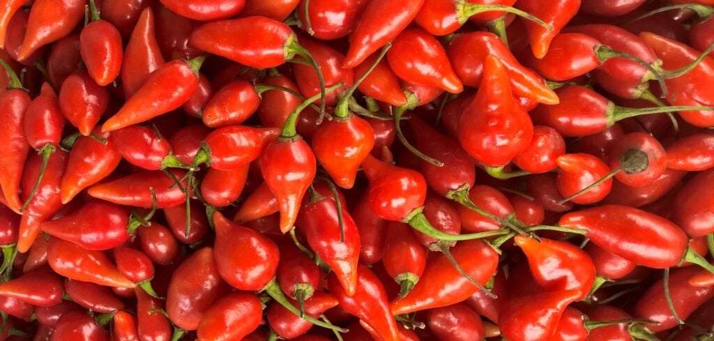 Biquinho peppers