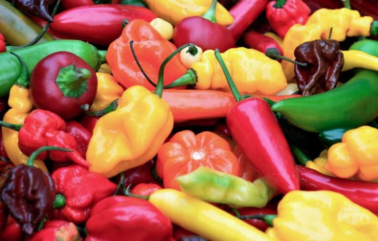 Are pepppers acidic or alkaline