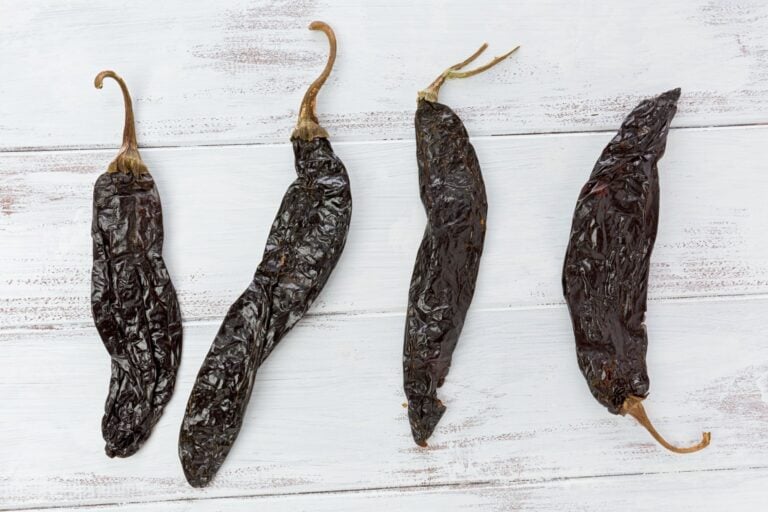 Pasilla pepper