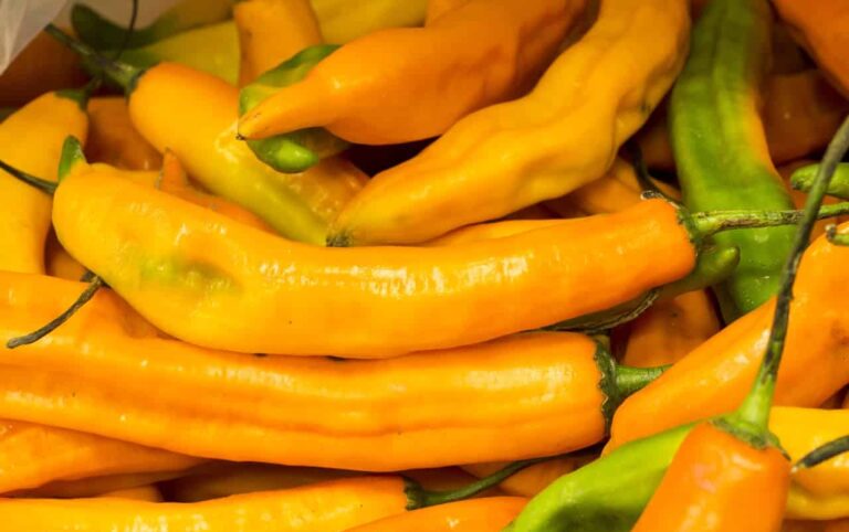 Aji Amarillo Substitute