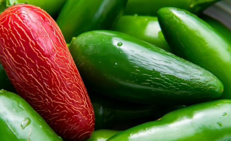 Pepper corking - jalapeno stretch marks