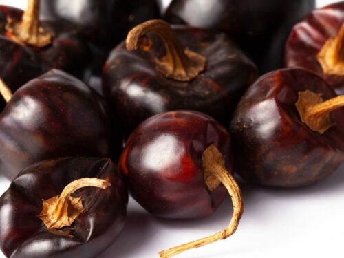 Cascabel Pepper