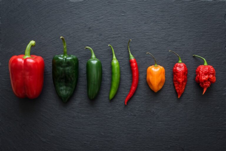 What is the Scoville Scale? Chili peppers of varying heats in a row.