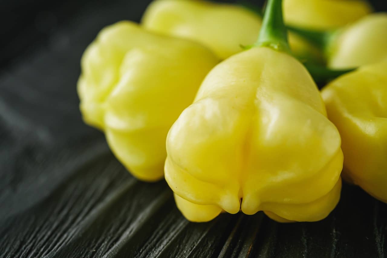 Aji Fantasy