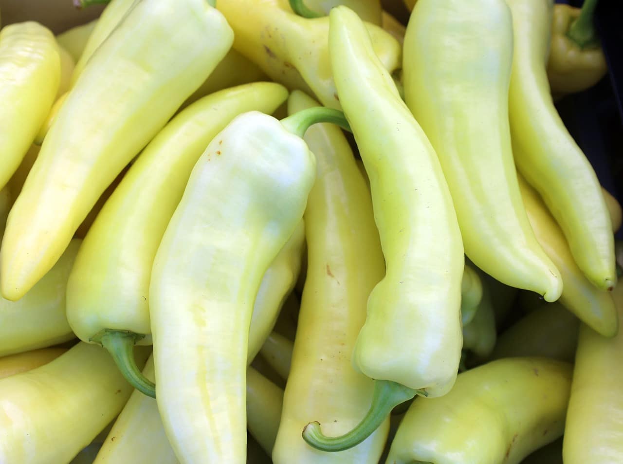 Feher Ozon Pepper