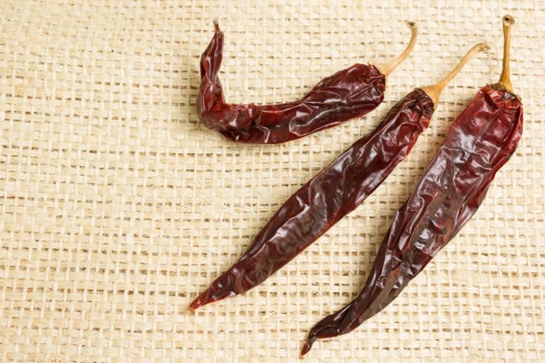 Guajillo Pepper