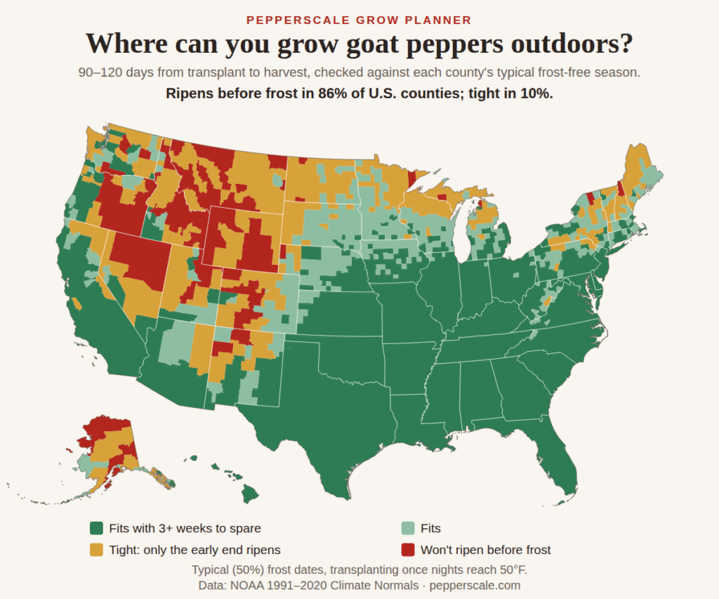 Map of U.S. counties showing where goat peppers ripen before the first fall frost. The South, the Midwest, the East Coast, the Southwest deserts and the Pacific coast fit; the northern Plains and parts of northern New England are tight; the high Rockies, much of the Great Basin and northern Alaska won't ripen in time.