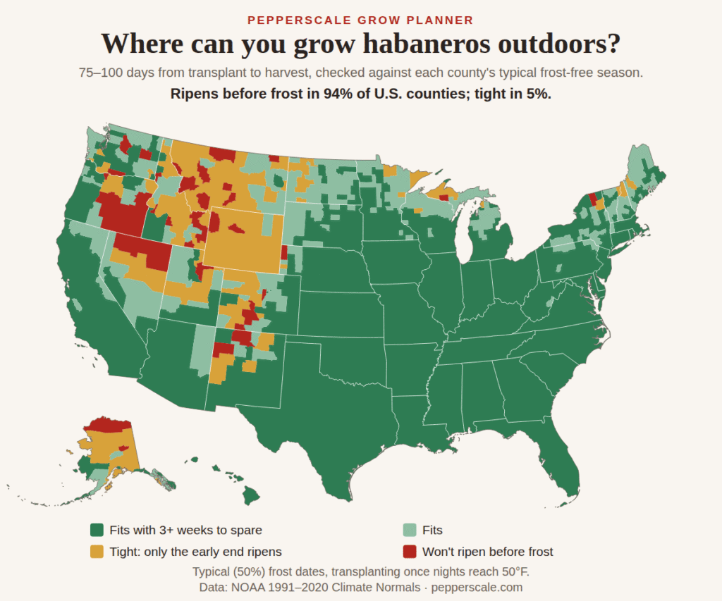 Map of U.S. counties showing where habanero peppers ripen before the first fall frost. Most counties fit; the tight and missed counties are mostly in the mountain West and Alaska, with a few in the upper Midwest and northern New England.