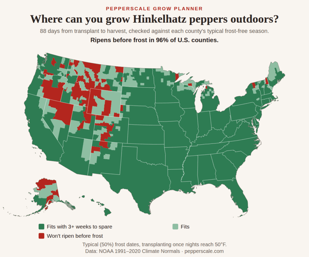 Map of U.S. counties showing where Hinkelhatz peppers ripen before the first fall frost. Nearly every county fits, including the whole South, Midwest and East; the ones that miss are in the high Rockies, the Great Basin and northern Alaska.
